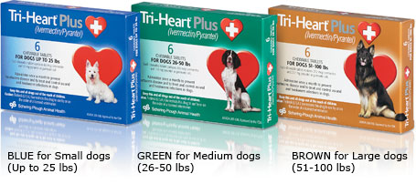 Tri-Heart Plus Packages